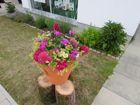 Dan odprtih vrat ob prvi obletnici ambulante družinske medicine na Razkrižju 2